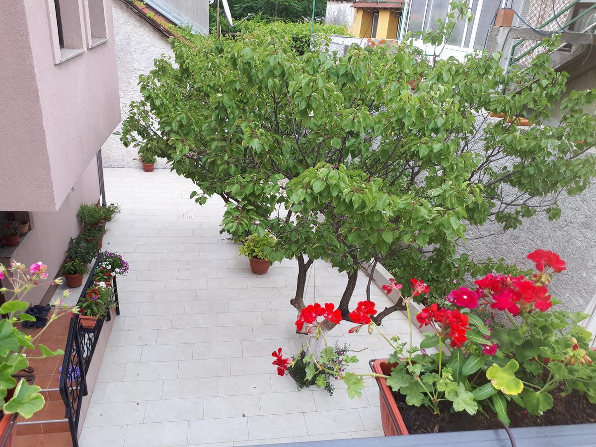 Hostel Bojo Мостар Екстериор снимка